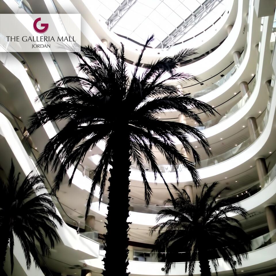 Galleria  Mall –Electromechanical Works